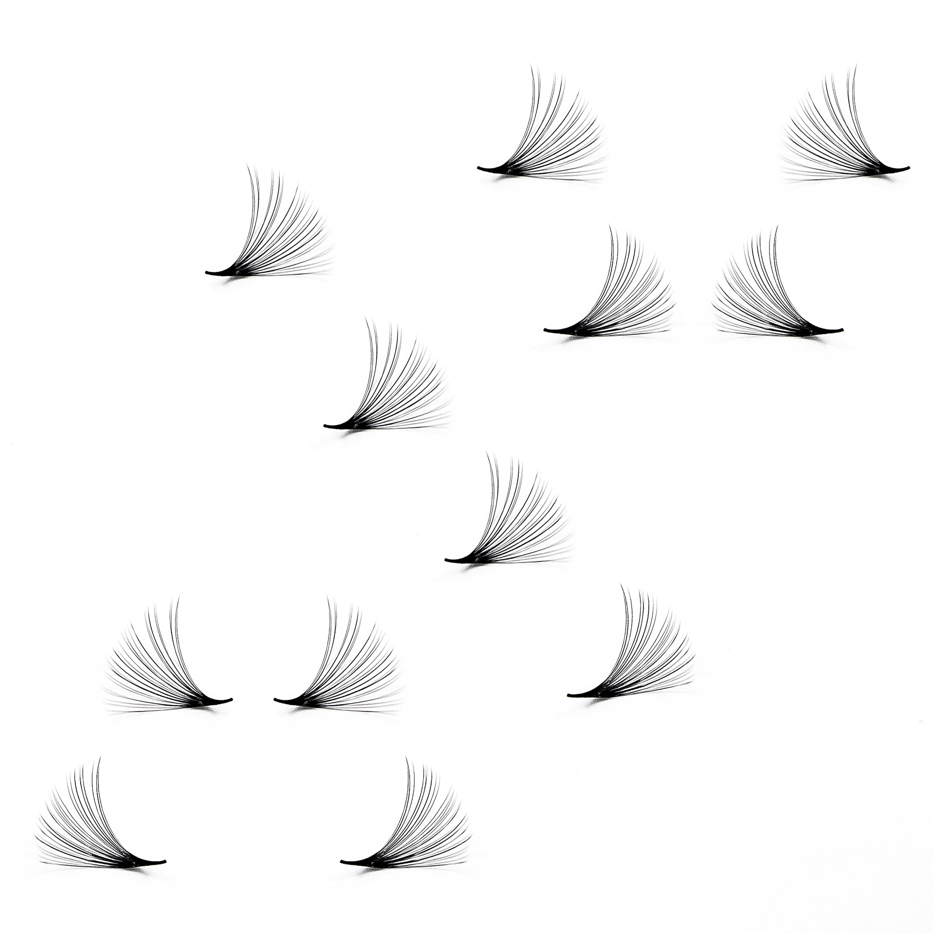 25D - C Curl Lashes, 500 Premade Volume Fans, 0.03mm thickness, Eyelash Extensions, Handmade.