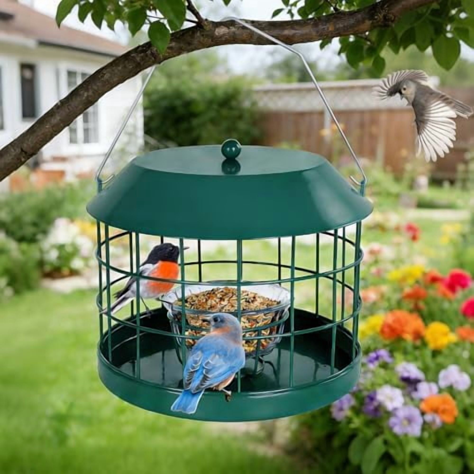 Caged Bluebird Feeder for Mealworms with Glass Bowl, Squirrel Proof Bird Feeder for Small Birds Only, Detachable Hook, Large Space, Outdoors Weatherproof, Metal, Green