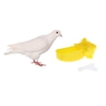 thumbnail image 3 of Alimentador Automático de Jaula Sunnimix Para Pájaros y Palomas 20 Uds, 3 of 8