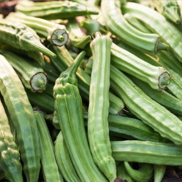 Okra Garden Seeds - Emerald - 1 Oz - Heirloom, Non-GMO Vegetable Gardening Seeds - Open Pollinated - Abelmoschus esculentus