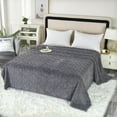 thumbnail image 1 of Extra Large Double-Sided Flannel Taffeta Blanket with Full-Body Coverage, All-Season Breathable Insulation Reversible Cozy Texture, Family-Size Throw for Bed Sofa Living Room Shared Comfort, 1 of 9