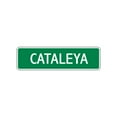 thumbnail image 1 of Cataleya Girls Children Name Letter Printed Label Indoor Outdoor Unique Wall Plaque Decoration Aluminum Metal Sign 4"x18", 1 of 1