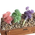 thumbnail image 3 of Ludlz Artificial Flocked Plants Plastic Succulent Unpotted Assorted Realistic Plants Fake Textured Succulent Picks for DIY Home Landscape Decorations Office Hotel Decoration, 3 of 5
