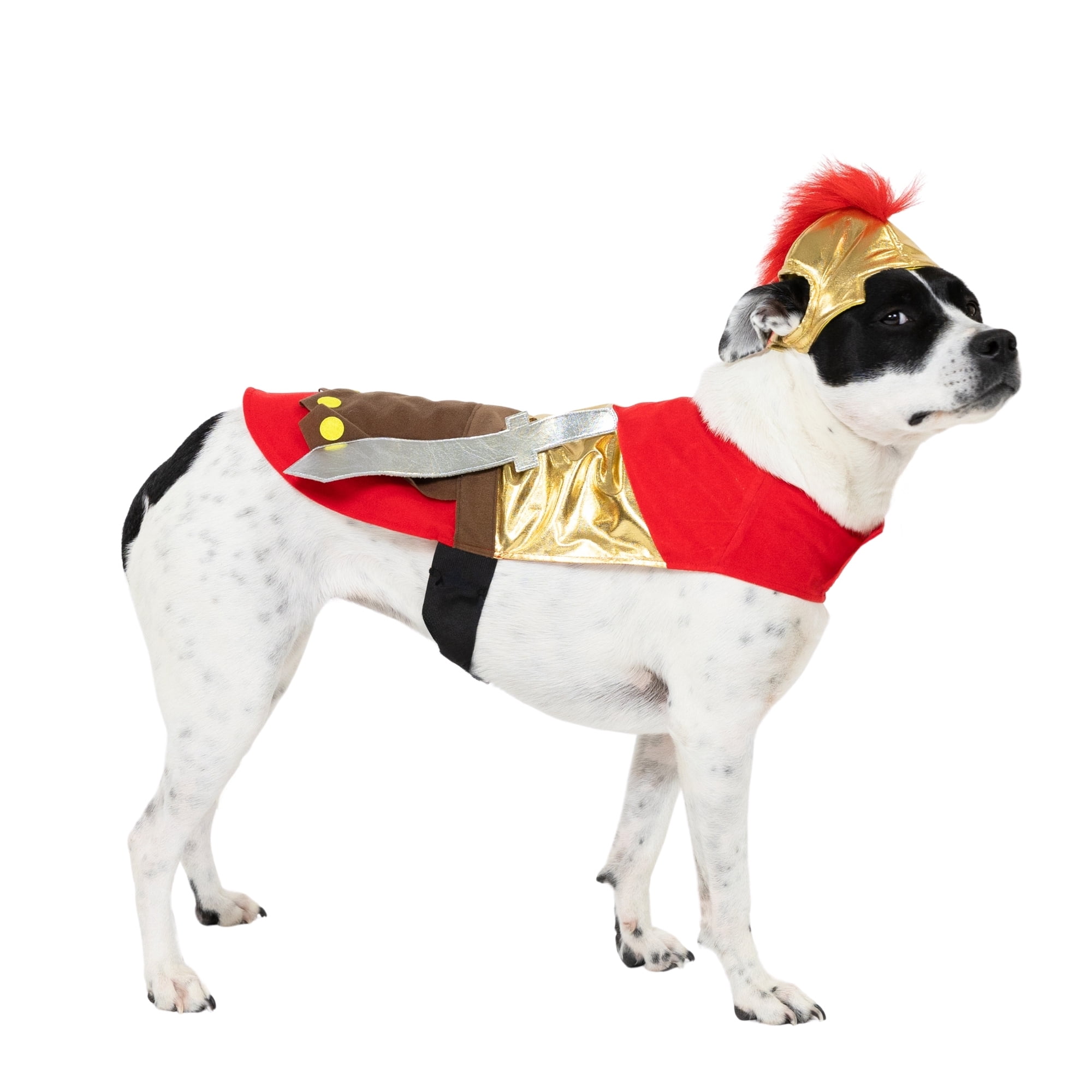Vibrant Life Halloween Gladiator Costume for Dogs, Multicolor, Medium