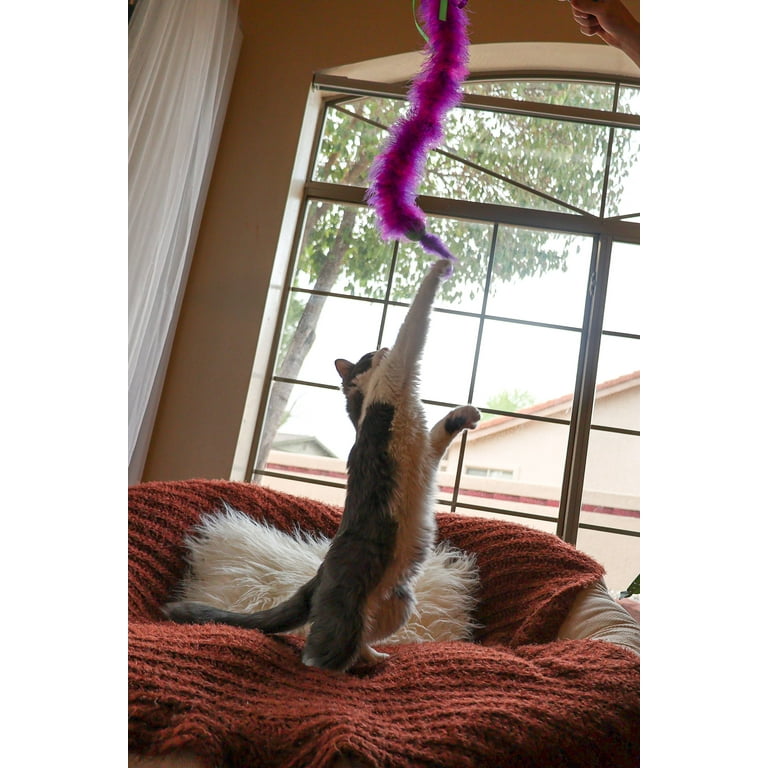 Vibrant Life Feather Wand Cat Toy