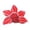 B, variant on Pet Costume Outfit for Dogs and Cats, Soft Fabric Pet Clothing, Animal Dress Up Accessories, for All Occasions, Cute, Comfortable