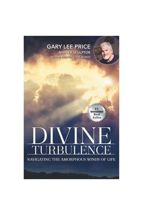 Pre-Owned Divine Turbulence: Navigating the Amorphous Winds of Life (Paperback) by Gary Lee Price, Bridget Cook-Burch