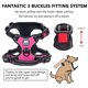 thumbnail image 2 of PoyPet Arnés para perro sin tirones, arnés reflectante para perro con clip frontal sin estrangulamiento, chaleco ajustable suave acolchado para mascotas con asa de fácil control para perros pequeños a, 2 of 5
