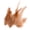 Dark brown, variant on Lynono Co.,Ltd 100Pieces Craft Plumage With Rainbow Detail Home Decoration Fashion And Event Styling