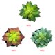 thumbnail image 5 of Simulaciones Mini suculentas Plantas artificiales de plástico falso Decoraciones para la sala de estar del jardín del hogar Advancent JJ18127-01, 5 of 6