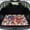 Cardinal Bird Rose Daisy Patchwork, variant on COEQINE Universal Car Trunk Mat All Weather Cargo Liner Floor Mat with Non-Slip Backing Scratch-proof Pet Cargo Mat Suitable for Most Car Models, Sea Turtle Beach Seashell Blue