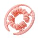 thumbnail image 5 of Abrazadera circular para piernas, rodillo de masaje para piernas, brazos ligeros, suministros versátiles para músculos Rosa, 5 of 9