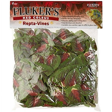 UPC: 0091197510175 | Fluker s Red Coleus Repta-Vines  6’