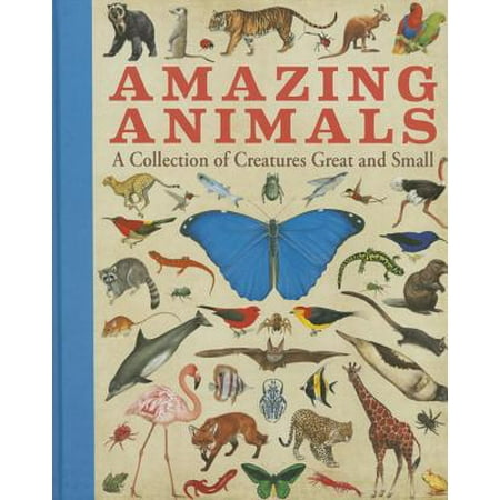 Amazing Animals : A Collection of Creatures Great and