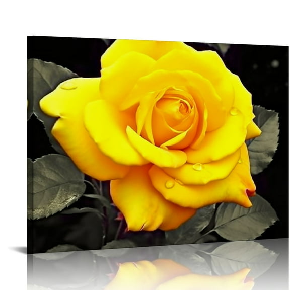 Acheng Canvas Wall Art For Living Room Family Wall Decor For Bedroom Modern Kitchen Wall Decor Wall Pictures Artwork Yellow Rose Flowers Canvas Art Prints Bathroom Home Decor 20x16in