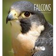 thumbnail image 1 of Falcons (Living Wild), 1 of 3
