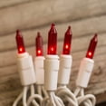 thumbnail image 2 of 2 Pcs Outdoor String Lights String Lights 100 Bulbs 20.5 Feet White Wire Indoor Outdoor Plug-In Red, 2 of 2