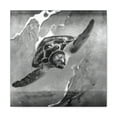 thumbnail image 2 of "Sea Turtle Reflections" - Canvas, 2 of 25