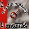 Anderson Banda Machos A Lo Puro Macho