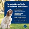 thumbnail image 5 of Blue Buffalo Life Protection Large Breed Adult Dry Dog Food Chicken & Brown Rice 15lb Bag, 5 of 13