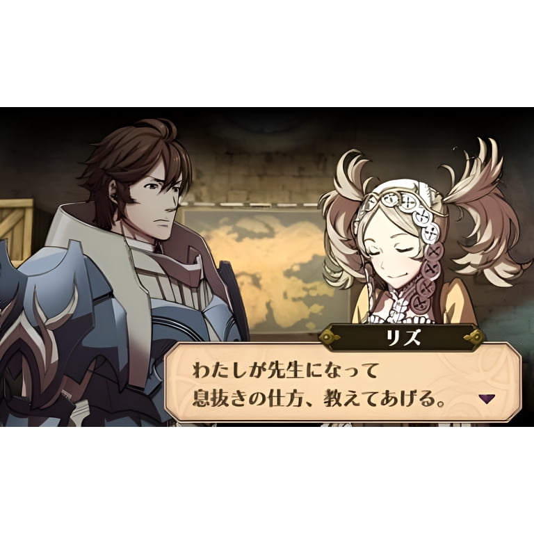 Nintendo Fire Emblem Awakening Game for Nintendo 3DS 045496742355