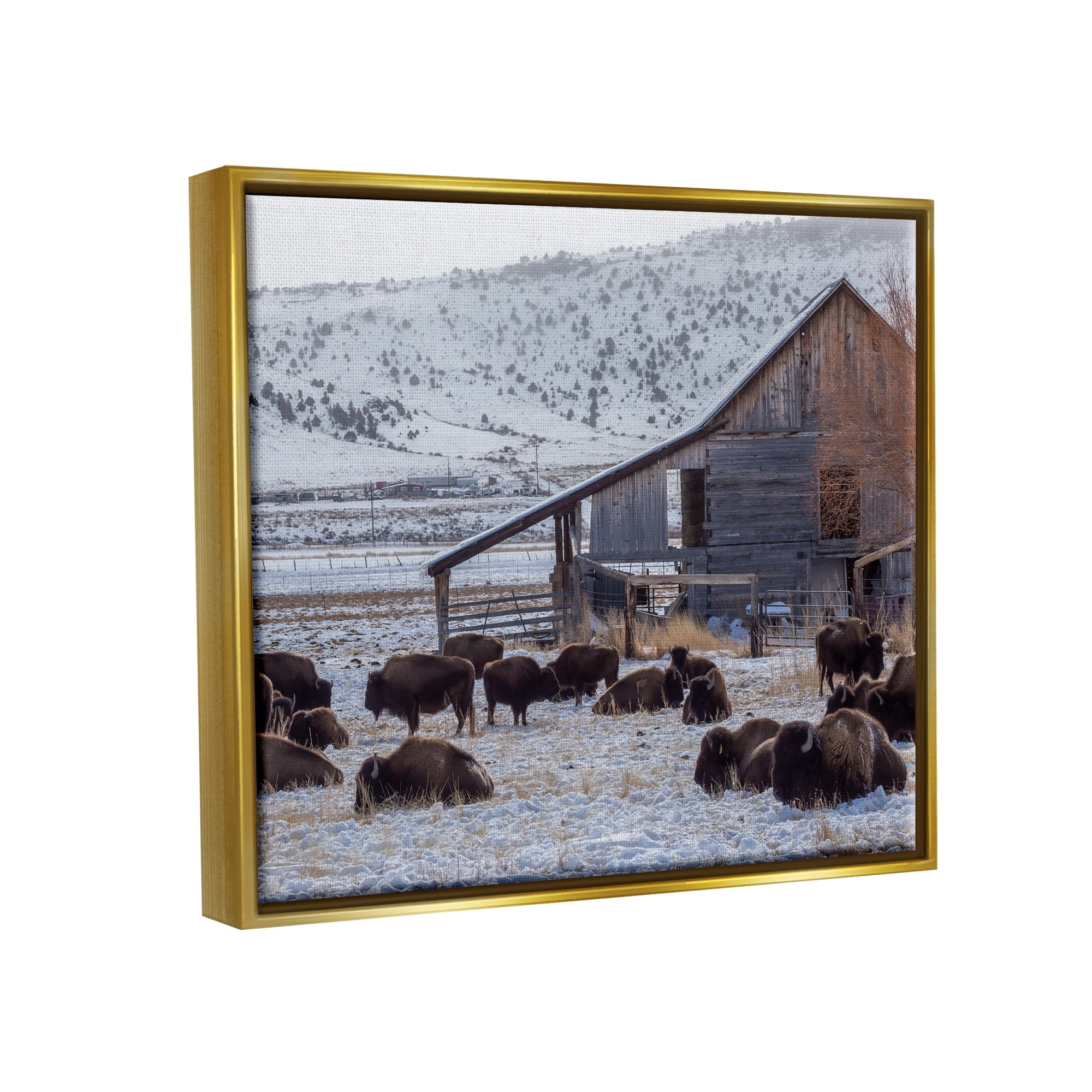 Stupell Industries Grazing Rural Bison Snowy Farmland Barn Scenery Photograph Metallic Gold Floating Framed Canvas Print Wall Art, Design by Jeff Poe Photography