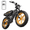 R9A-Yellow-48V/15AH, variant on TST 750W Electric Bike for Adults, 20"x4.0 Fat Tire E Mountain Bicycle, 48V 15Ah Removable Battery, UL2849