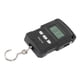thumbnail image 4 of Báscula electrónica portátil Báscula de pesca con carga USB Báscula de pescado colgante digital de 165 lb para equipaje, 4 of 10