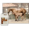 thumbnail image 4 of UltraCruz® Equine Weight Gain, 1 gallon, 4 of 5