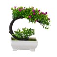 thumbnail image 1 of PFDDRW Artificial Plastic Plants Bonsai Small Tree Pot Fake Flower Arrangemeny, 1 of 8