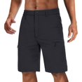 thumbnail image 1 of HAUFR Pantalones cortos de senderismo para hombre de secado rápido Pantalones cortos de camping ligeros con 5 bolsillos Negro 40 oso de fresa  Electrónica, 1 of 3