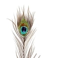 thumbnail image 2 of Boho Hue Studio 15x15 Gold Ornate Wood Framed with Double Matting Museum Art Print Titled - Peacock Single 2, 2 of 4