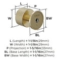 thumbnail image 4 of Amerock Balata 1-1/8 inch (29mm) Diameter Golden Champagne Cabinet Knob, 4 of 5