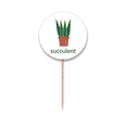 thumbnail image 1 of Cactus Potted  Succulents Green Toothpick Flags Round Labels Party Decoration, 1 of 3