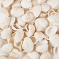 thumbnail image 3 of Colgantes Charm BB Beadthoven, 117 unidades, diseño natural de concha de almeja, 2,2 cm, 3 of 8