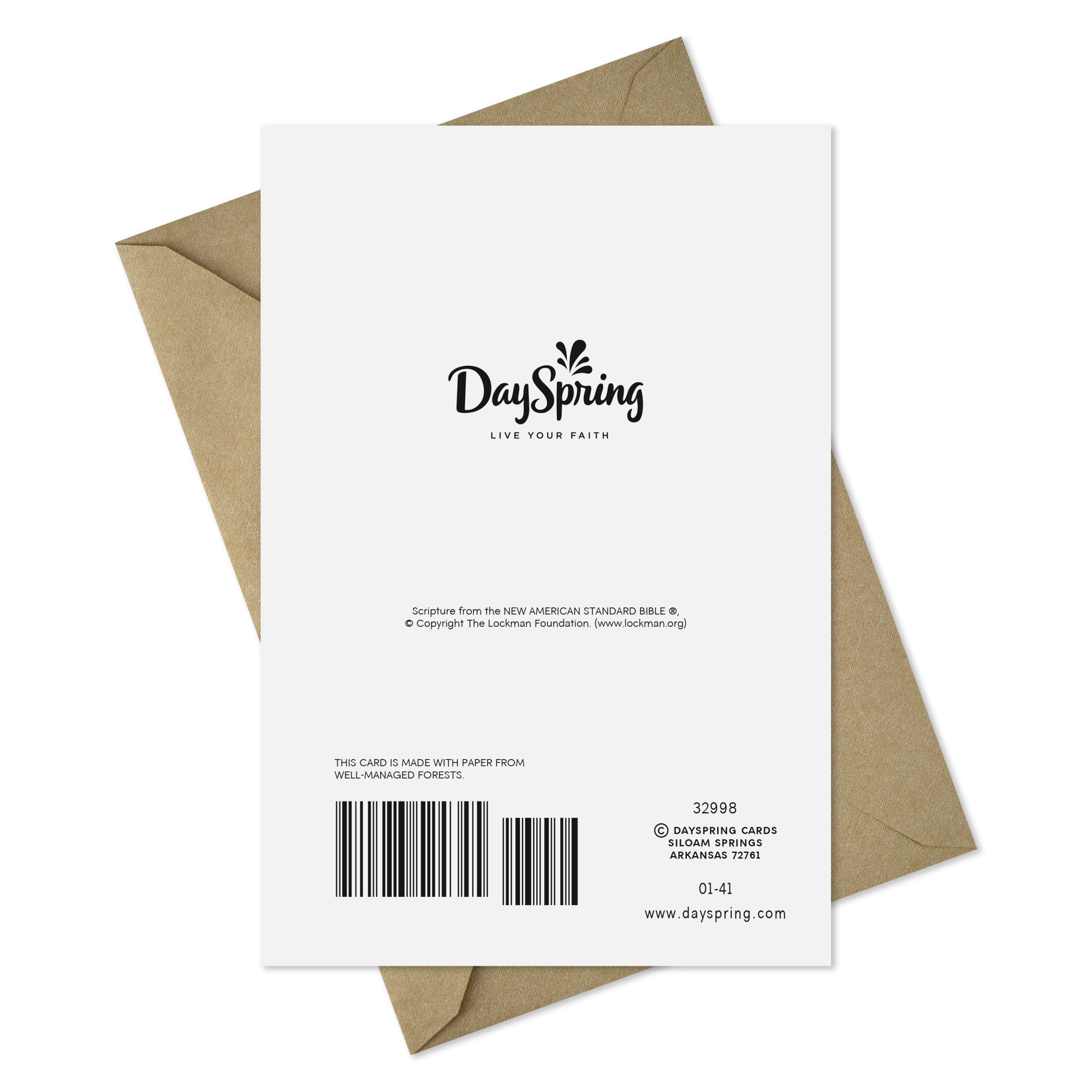 DaySpring Religious Clergy Appreciation Card (Thank You for This Godly Man)