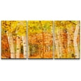 thumbnail image 3 of PixonSign Canvas Print Wall Art Set Orange and Yellow Leaf Variety Botanical Wilderness Illustrations Modern Art Contemporary Landscape Multicolor Ultra for Living Room, Bedroom, Office - 24"x36" x 3, 3 of 5