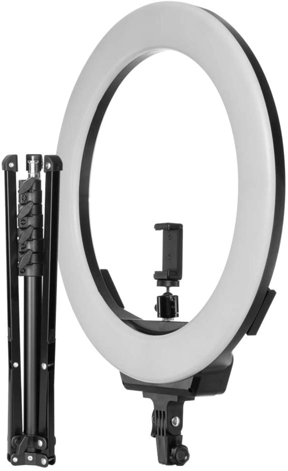 Fovitec 1-Light 1600W Fluorescent Lighting Kit for Photo & Video with 24x36 Softbox & Stand 