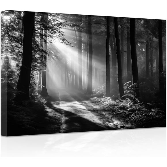 ZHONGYUTONG Black and White Forest Wall Art Forest Sunshine Tree Painting Nature Landscape Canvas Prints Artwork for Living Room Office Bedroom Framed (20.00" x 30.00")