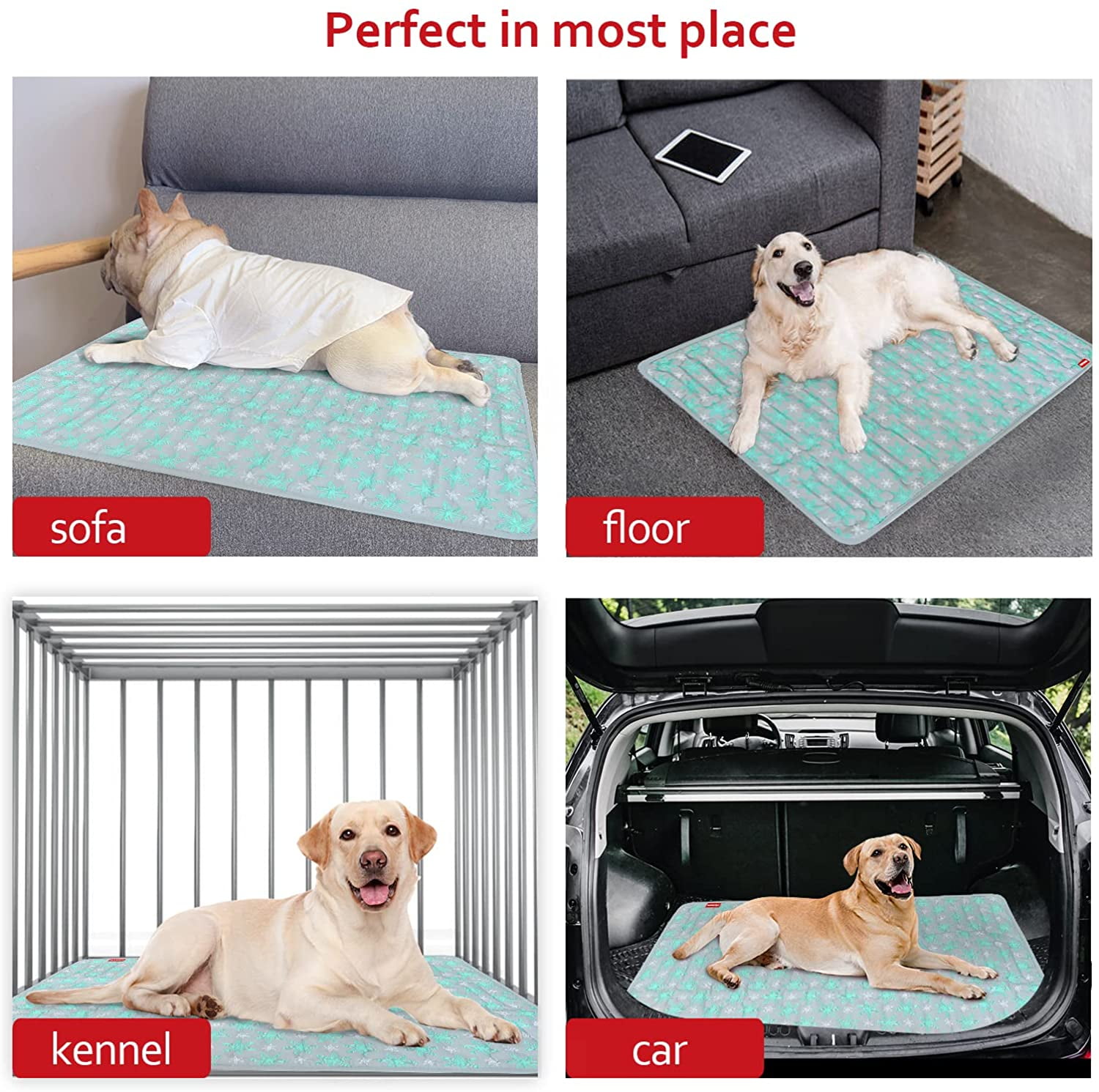 Moonsea Large 36 X 23 Dog Crate Mat, Soft Polyester Bed with Cute Stars,  Anti-Slip Bottom, Machine Washable