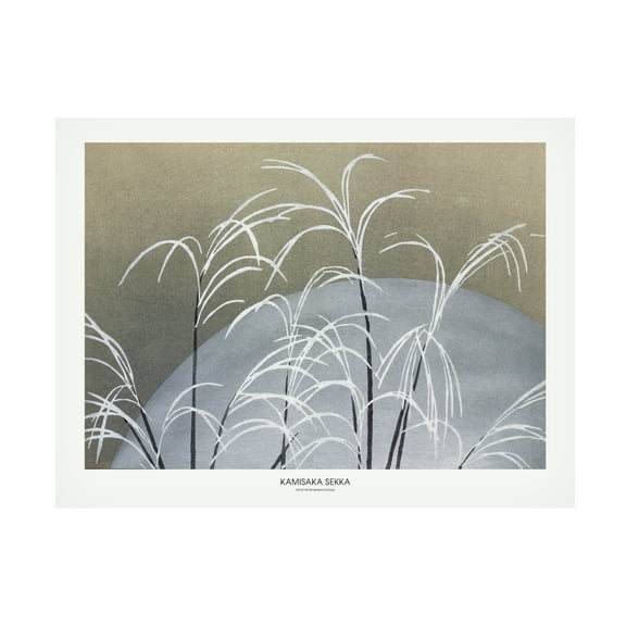Trademark Fine Art Pictufy Frost From Momoyogusa Canvas Wall Art