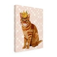 thumbnail image 2 of Trademark Fine Art 'Ginger Cat With Crown, Full' Canvas Art by Fab Funky, 2 of 3
