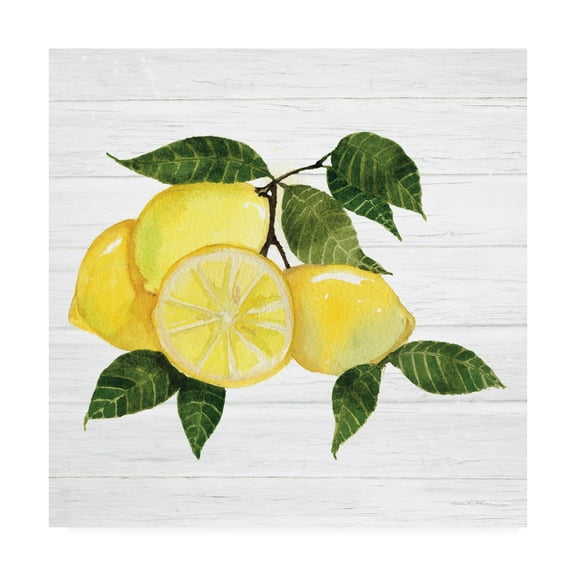 Trademark Fine Art 'Citrus Garden VI Shiplap' Canvas Art by Kathleen Parr McKenna