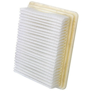SpinScrub Brush Block w/ Replacement Edge Cleaning Bristles for Power –  Hoover
