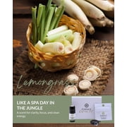 Essence Refresh Kit – Lemongrass Essential Oil – Black Personal Aromatherapy Pod
