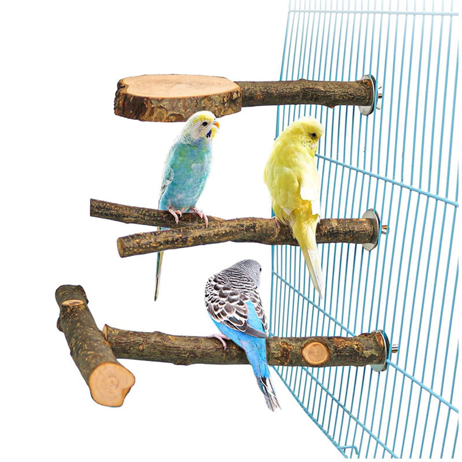 QBLEEV Round Natural Wood Bird Perch Platform Toy for Bird Cage Playground Springboard Paw Grinding Clean for Small and Medium Parrots Parakeet Budgies Hamster Cage 