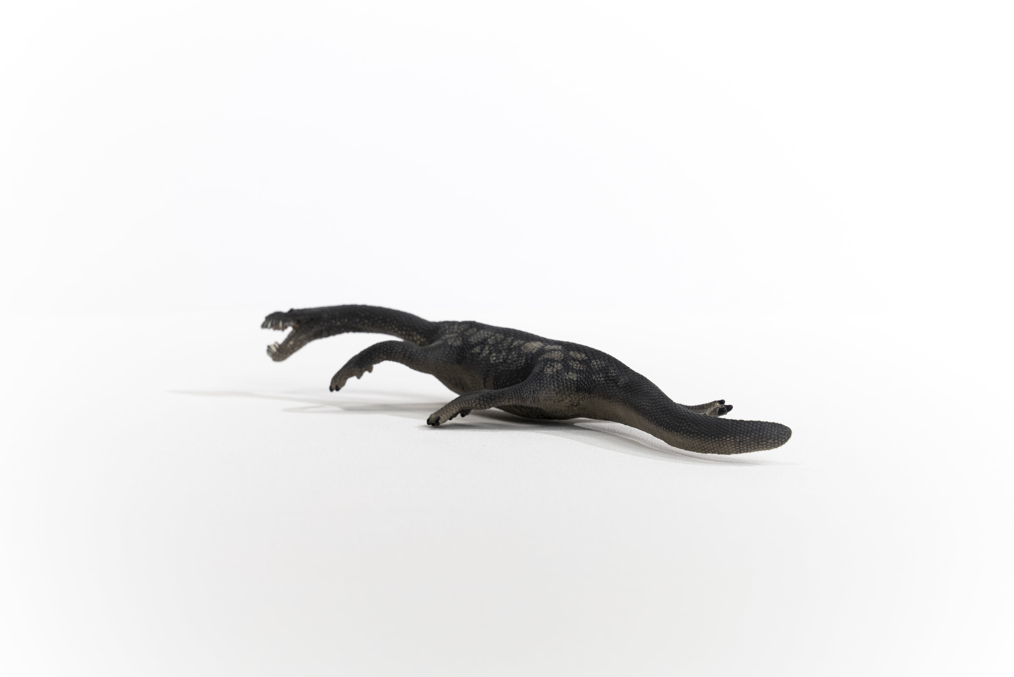 Schleich Dinosaurs - Large Dinosaur Toys for Boys and Girls- Realistic Nothosaurus Toy Figurine- Ages 4+