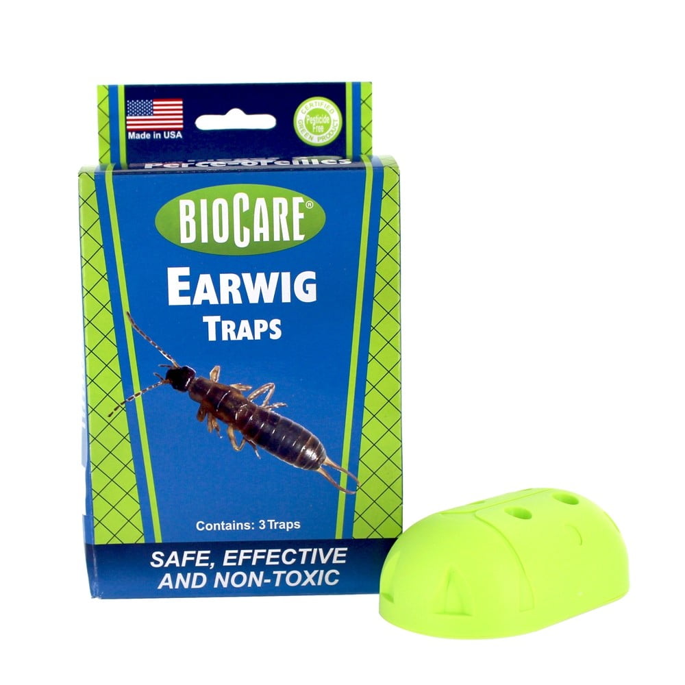 SpringStar Biocare Earwig Traps 3 Trap(s)