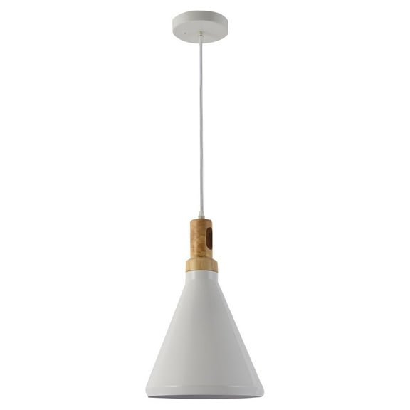 Blanc Collection One Light Pendant