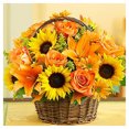 thumbnail image 1 of 5D bricolaje diamante pintura girasoles cruz puntada bordado pedrería mosaico Kit Hugtrwg Para estrenar, 1 of 9